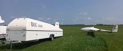 Apis BEE 15MB - Image 4