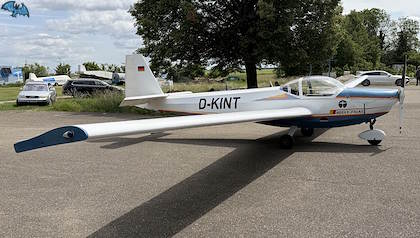Falke - Bild 2