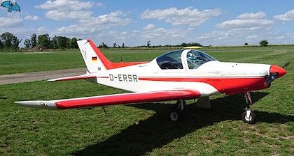 Pioneer 300 Hawk