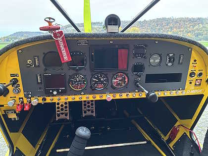 ICP Savannah SR - Bild 3